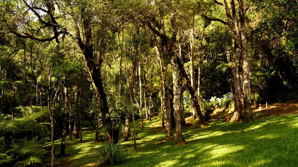 Estalagem Estalagem Spiller Monte Verde (Minas Gerais)